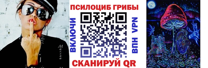 Псилоцибиновые грибы Psilocybine cubensis Истра