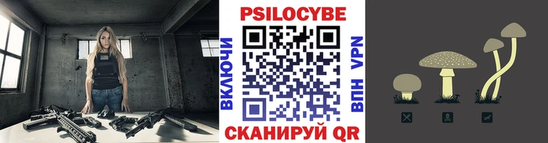 Псилоцибиновые грибы MAGIC MUSHROOMS  купить наркоту  Истра 