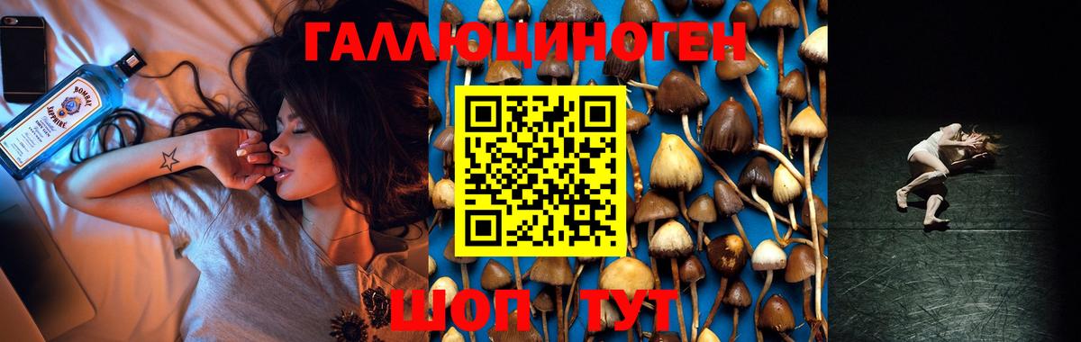 Псилоцибиновые грибы GOLDEN TEACHER  Вход с VPN  Истра  Псилоцибиновые грибы Psilocybe 